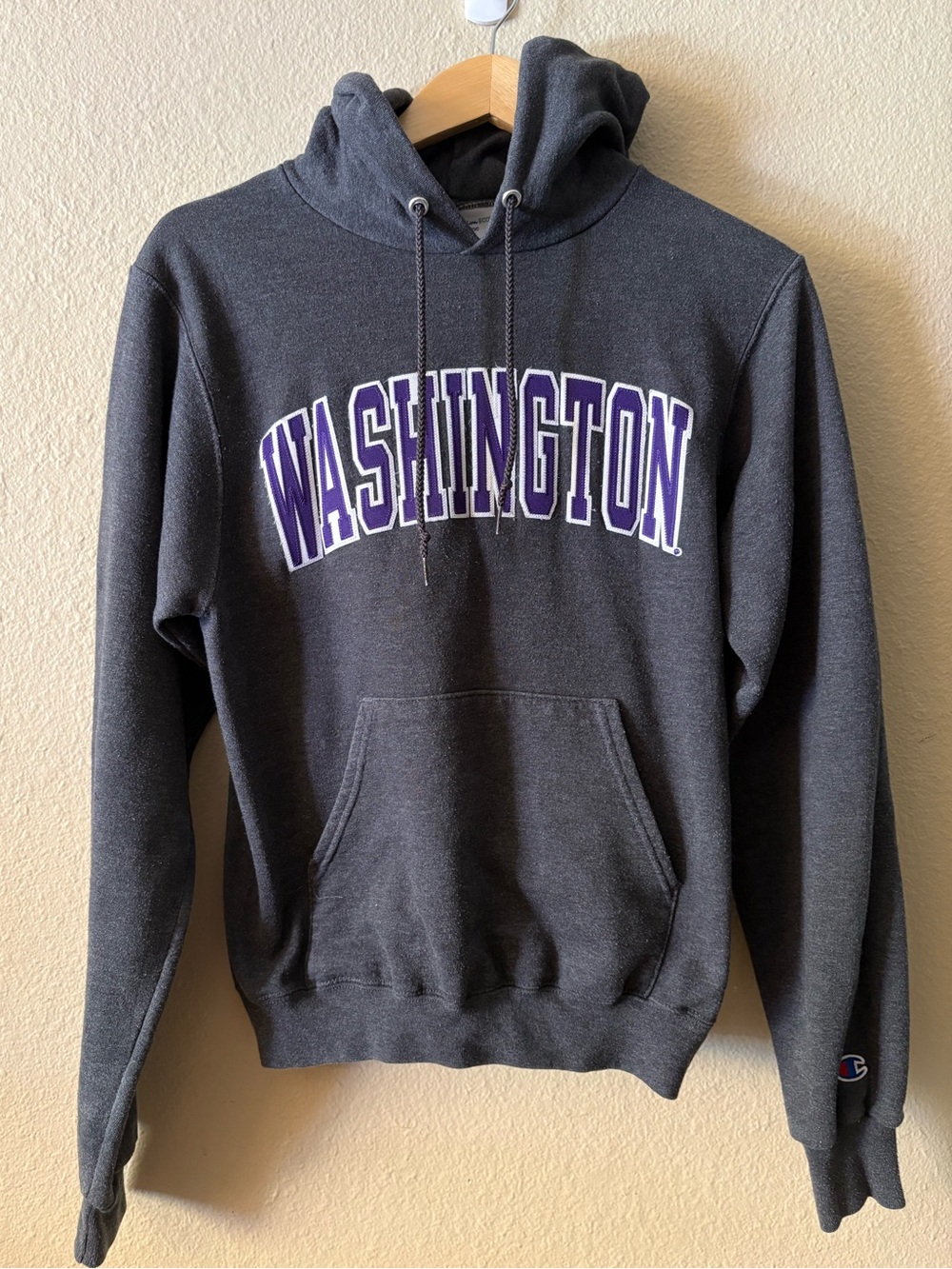 Champion University of Washington Hoodie XS Charcoal Purple UW Huskies
